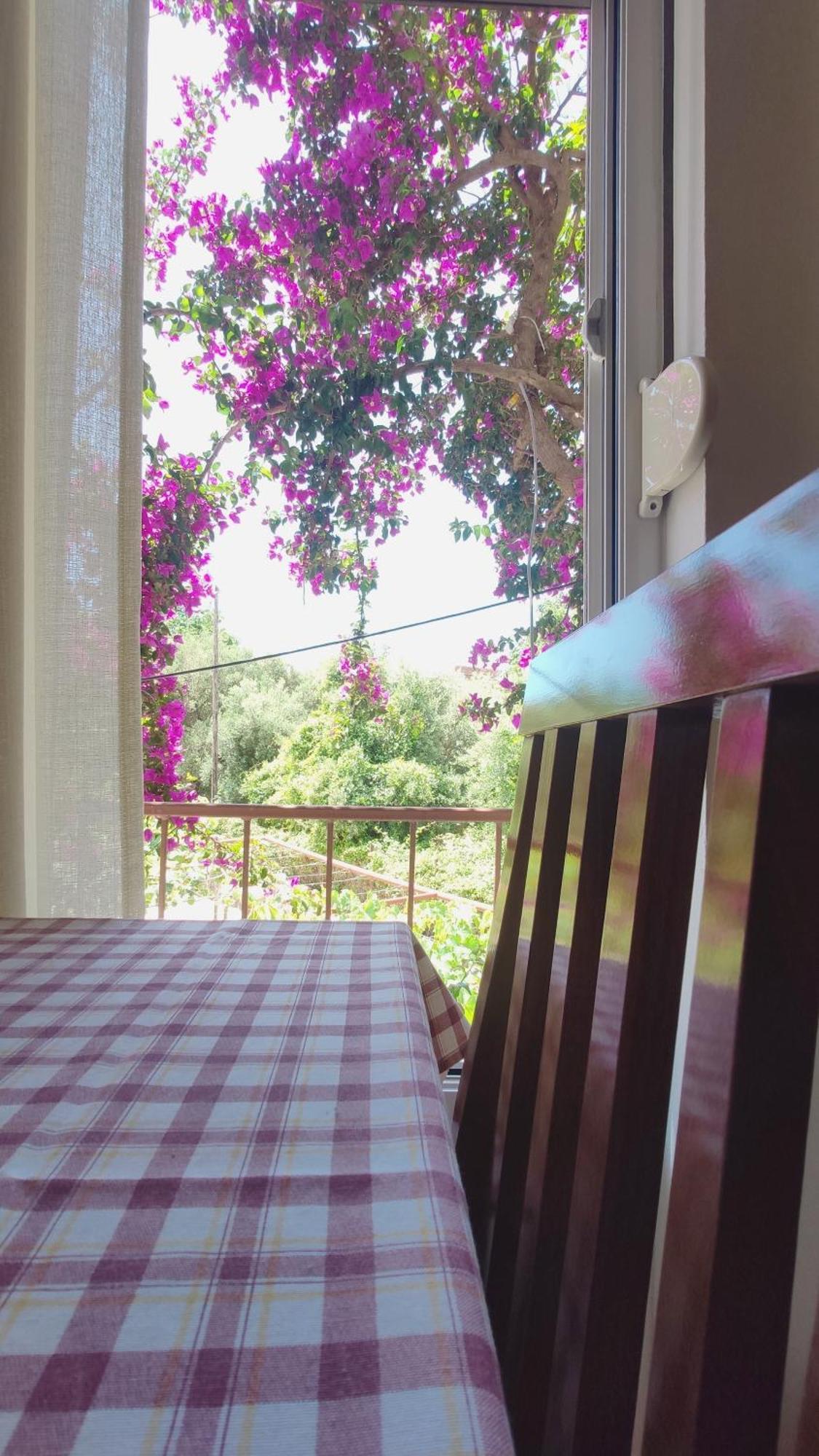 Apartments Ruza Μπούντβα Δωμάτιο φωτογραφία